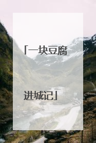 一块豆腐进城记