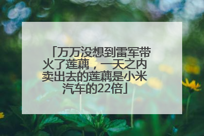 万万没想到雷军带火了莲藕，一天之内卖出去的莲藕是小米汽车的22倍
