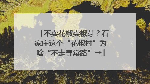 不卖花椒卖椒芽？石家庄这个“花椒村”为啥“不走寻常路”→