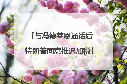 与冯德莱恩通话后 特朗普同意推迟加税