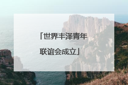 世界丰泽青年联谊会成立