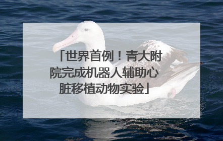世界首例！青大附院完成机器人辅助心脏移植动物实验