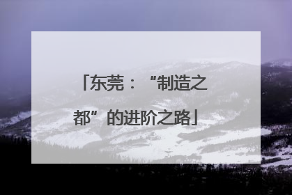 东莞：“制造之都”的进阶之路