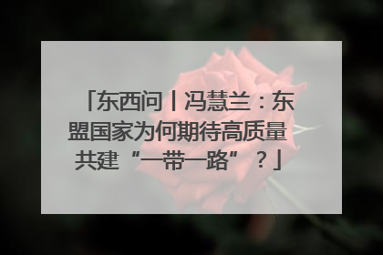 东西问丨冯慧兰：东盟国家为何期待高质量共建“一带一路”？