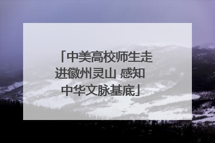 中美高校师生走进徽州灵山 感知中华文脉基底