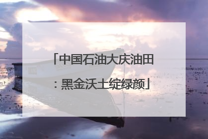 中国石油大庆油田：黑金沃土绽绿颜
