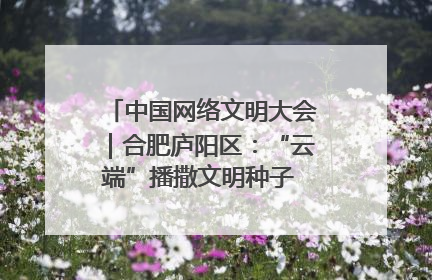 中国网络文明大会｜合肥庐阳区：“云端”播撒文明种子 共建清朗网络空间