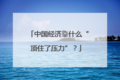 中国经济靠什么“顶住了压力”？