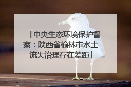 中央生态环境保护督察：陕西省榆林市水土流失治理存在差距