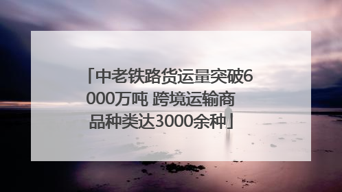 中老铁路货运量突破6000万吨 跨境运输商品种类达3000余种