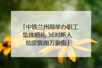 中铁兰州局举办职工集体婚礼 36对新人情定陇南万象街