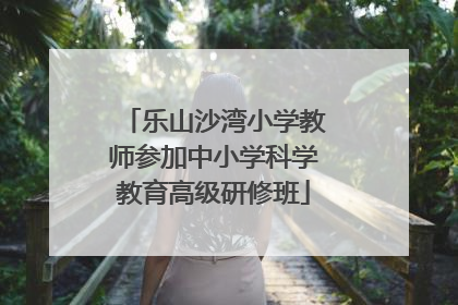 乐山沙湾小学教师参加中小学科学教育高级研修班