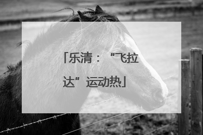 乐清：“飞拉达”运动热