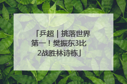 乒超｜挑落世界第一！樊振东3比2战胜林诗栋