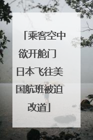 乘客空中欲开舱门 日本飞往美国航班被迫改道