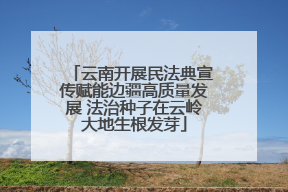 云南开展民法典宣传赋能边疆高质量发展 法治种子在云岭大地生根发芽
