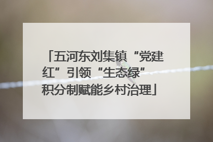 五河东刘集镇“党建红”引领“生态绿” 积分制赋能乡村治理