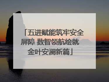 五进赋能筑牢安全屏障 数智领航绘就金叶安澜新篇