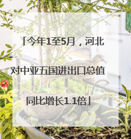 今年1至5月，河北对中亚五国进出口总值同比增长1.1倍