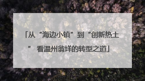从“海边小镇”到“创新热土” 看温州翁垟的转型之道
