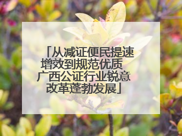 从减证便民提速增效到规范优质 广西公证行业锐意改革蓬勃发展