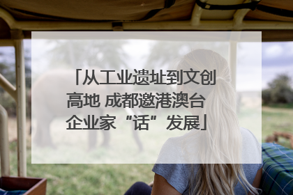 从工业遗址到文创高地 成都邀港澳台企业家“话”发展