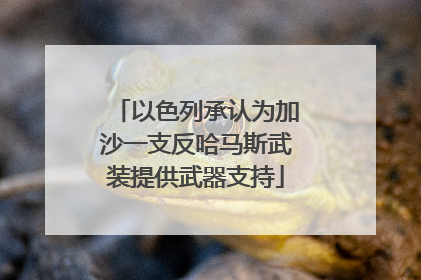 以色列承认为加沙一支反哈马斯武装提供武器支持