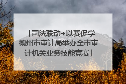 司法联动+以赛促学 德州市审计局举办全市审计机关业务技能竞赛