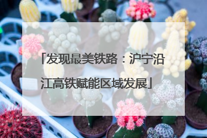 发现最美铁路：沪宁沿江高铁赋能区域发展