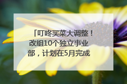 叮咚买菜大调整！改组10个独立事业部，计划在5月完成App端全面改版