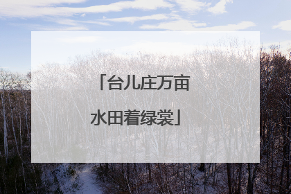台儿庄万亩水田着绿裳