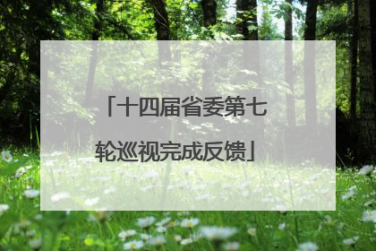 十四届省委第七轮巡视完成反馈