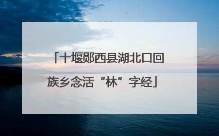 十堰郧西县湖北口回族乡念活“林”字经