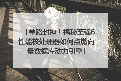 单路封神！揭秘至强6性能核处理器如何点燃向量数据库动力引擎