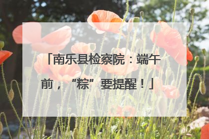 南乐县检察院：端午前，“粽”要提醒！