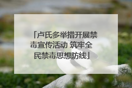 卢氏多举措开展禁毒宣传活动 筑牢全民禁毒思想防线