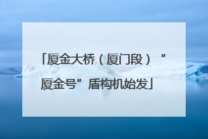 厦金大桥（厦门段）“厦金号”盾构机始发