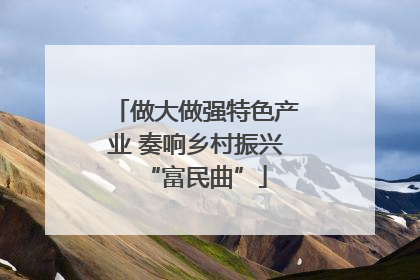 做大做强特色产业 奏响乡村振兴“富民曲”