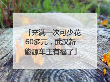 充满一次可少花60多元，武汉新能源车主有福了