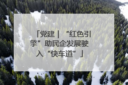 党建｜“红色引擎”助民企发展驶入“快车道”