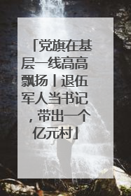 党旗在基层一线高高飘扬丨退伍军人当书记，带出一个亿元村