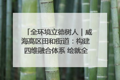全环境立德树人｜威海高区田和街道：构建四维融合体系 绘就全环境立德树人新画卷