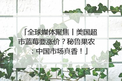 全球媒体聚焦丨美国超市蓝莓要涨价？秘鲁果农：中国市场真香！