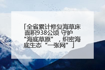 全省累计修复海草床面积938公顷 守护“海底草原”，织密海底生态“一张网”