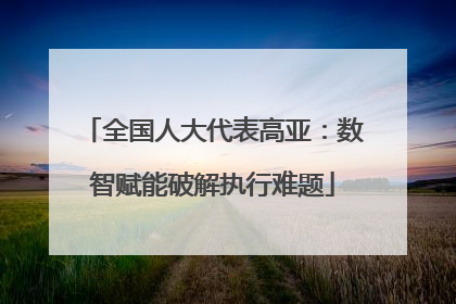 全国人大代表高亚：数智赋能破解执行难题