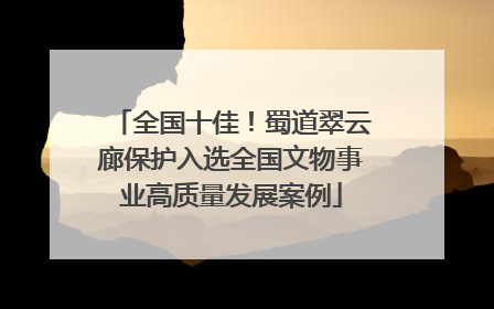 全国十佳！蜀道翠云廊保护入选全国文物事业高质量发展案例