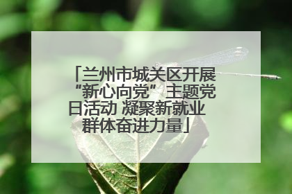 兰州市城关区开展“新心向党”主题党日活动 凝聚新就业群体奋进力量