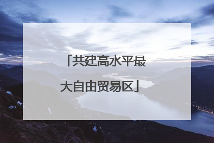 共建高水平最大自由贸易区
