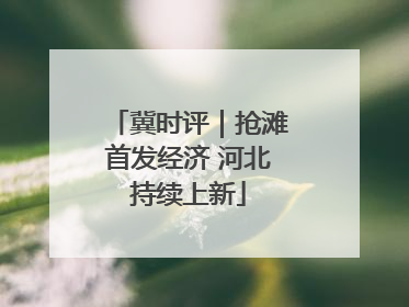 冀时评｜抢滩首发经济 河北持续上新
