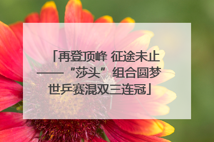 再登顶峰 征途未止——“莎头”组合圆梦世乒赛混双三连冠